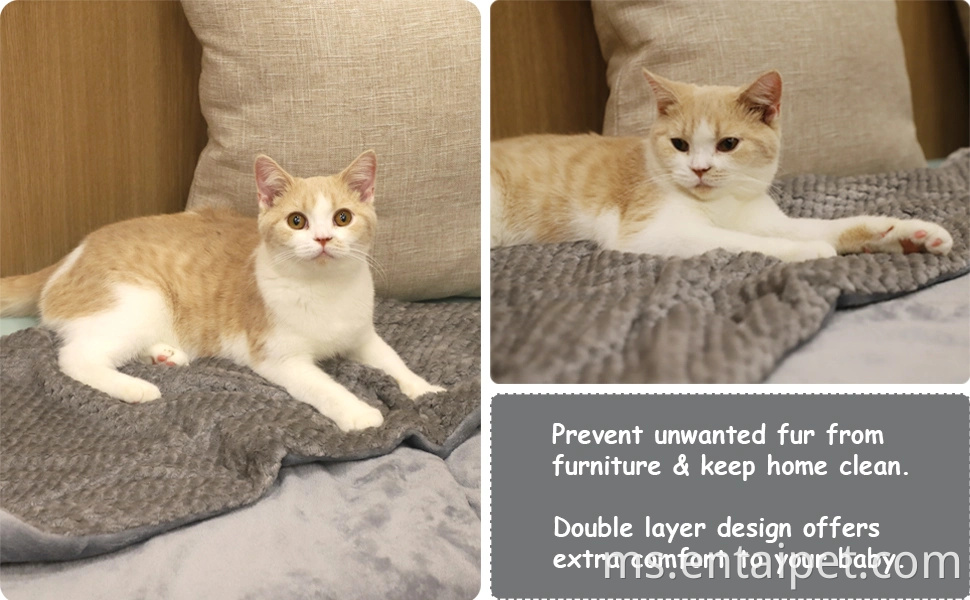 Selimut anjing bulu premium, lemparan haiwan peliharaan yang lembut dan hangat untuk anjing & kucing